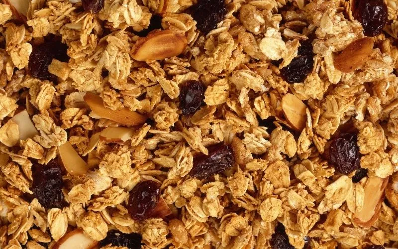 Granola a granel al mayoreo