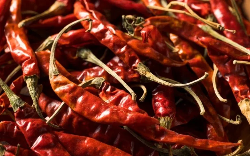 Chile de árbol nacional e importado
