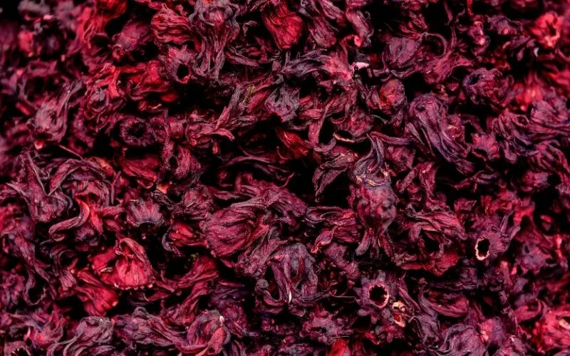 Flor de jamaica nacional y Sudán